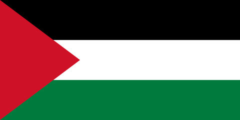 Флаг Palestine