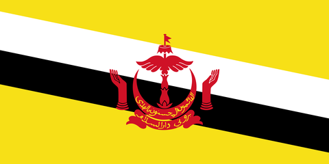 Флаг Brunei