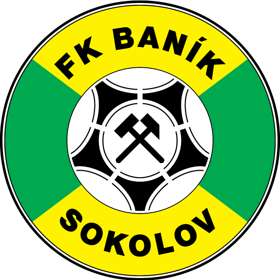 Логотип Sokolov