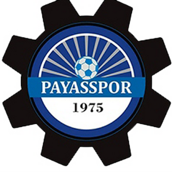 Логотип Payasspor
