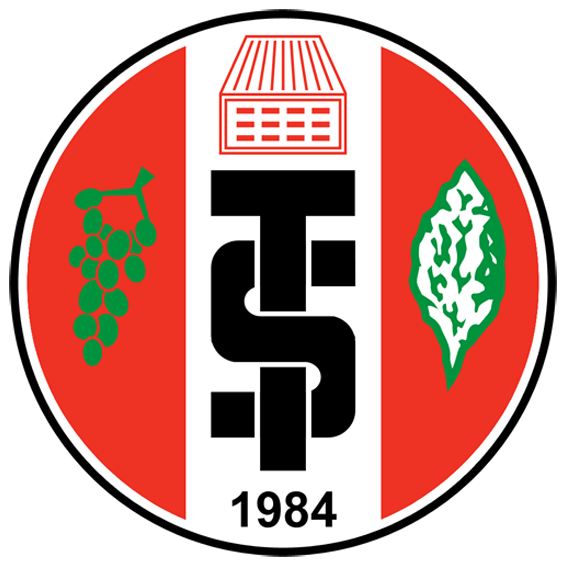 Логотип Turgutluspor