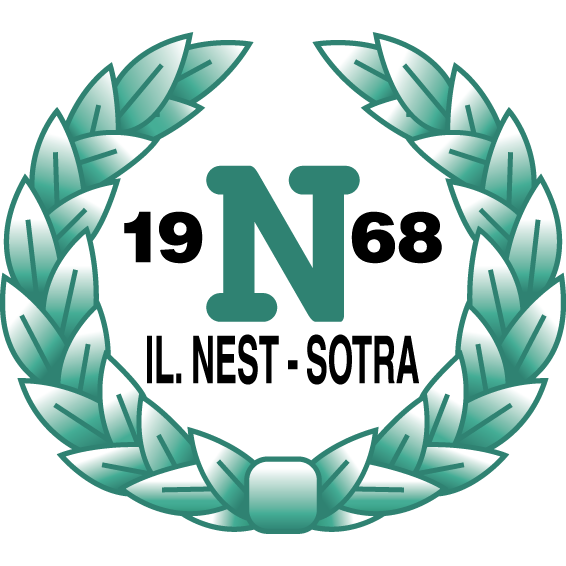 Логотип Nest Sotra