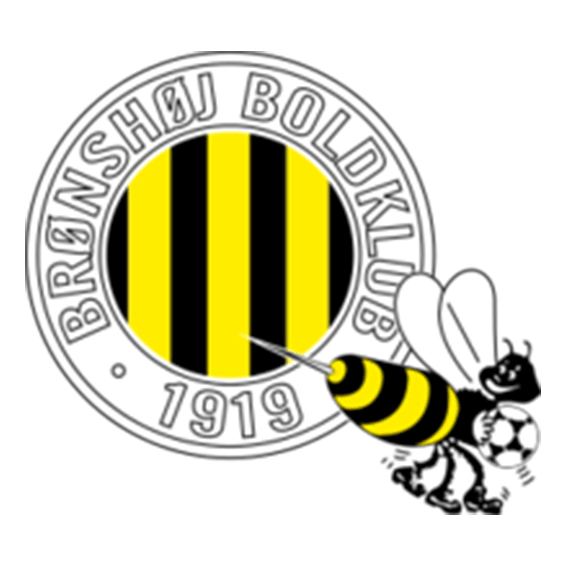 Логотип Bronshoj BK