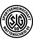 Логотип SG Wattenscheid 09