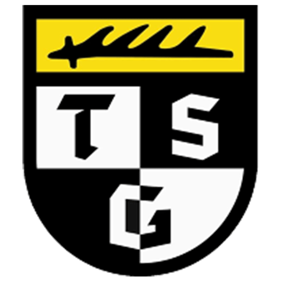 Логотип TSG Balingen 1848