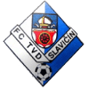 Логотип FC Tvd Slavicin