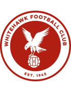 Логотип Whitehawk