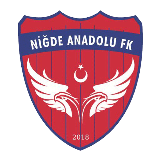 Логотип Nigde Anadolu Fk