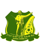 Логотип Shire Endaselassie