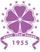 Логотип Gebzespor