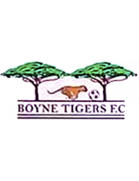 Логотип Boyne Tigers