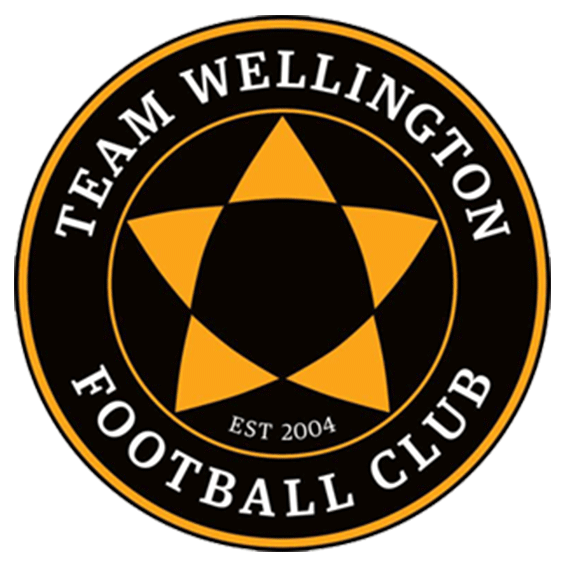 Логотип Team Wellington