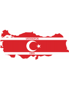 Логотип Vatanspor