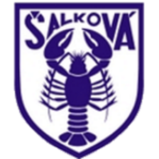Логотип Fk Salkova