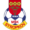 Логотип Msk Tesla Stropkov