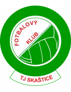 Логотип Skastice