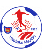 Логотип Tj Valasske Mezirici