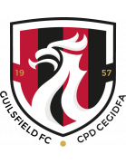 Логотип Guilsfield FC