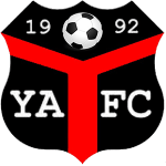 Логотип Ynyshir Albions
