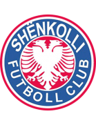 Логотип Shenkolli