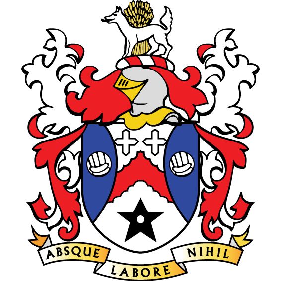 Логотип Stalybridge