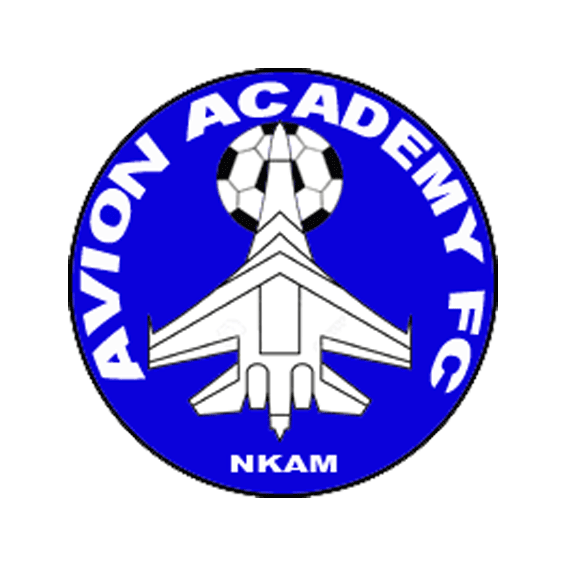 Логотип Авион Академи