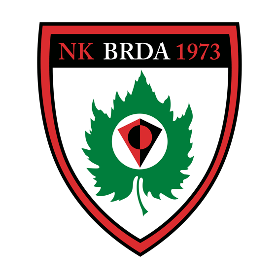 Логотип Brda