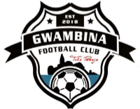 Логотип Gwambina FC