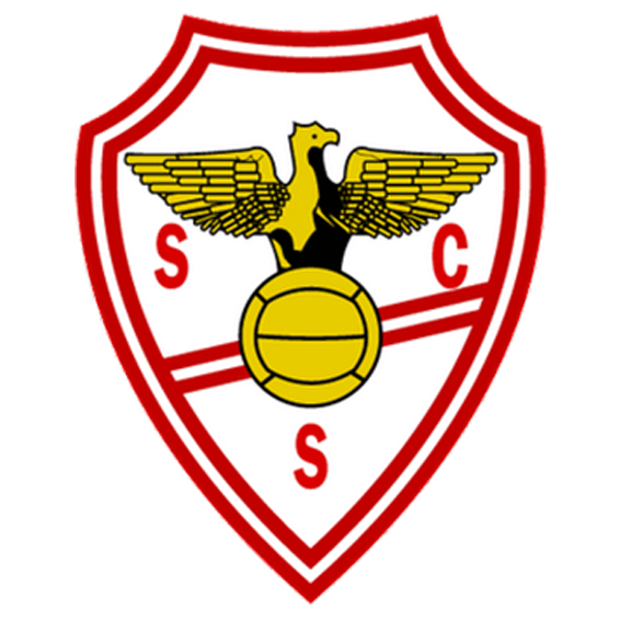 Логотип Salgueiros