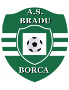 Логотип Bradu Borca