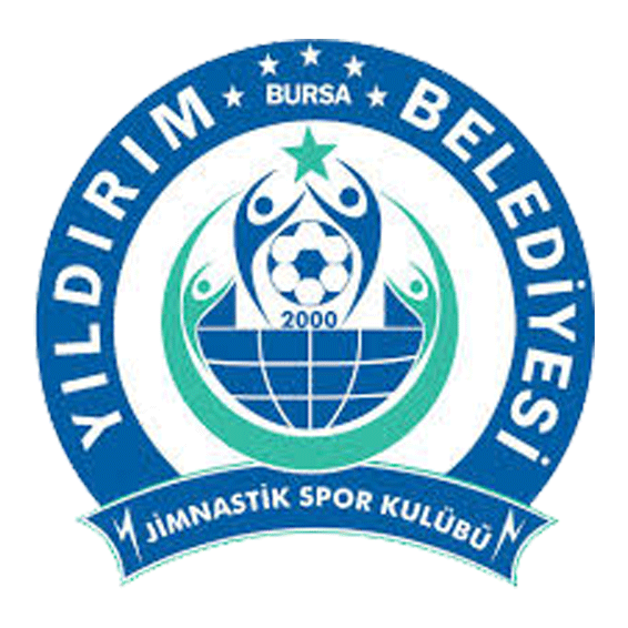 Логотип Bursa Yildirim Spor
