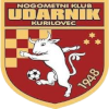 Логотип Nk Udarnik