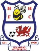 Логотип Holyhead Hotspur