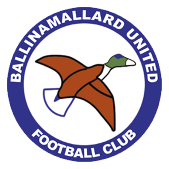 Логотип Ballinamallard United