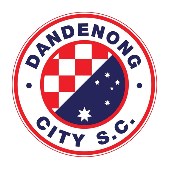 Логотип Dandenong City