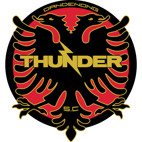Логотип Dandenong Thunder