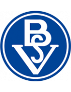 Логотип Bremer SV
