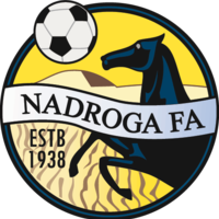 Логотип Nadroga