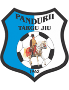 Логотип ACS Viitorul Pandurii Targu Jiu II