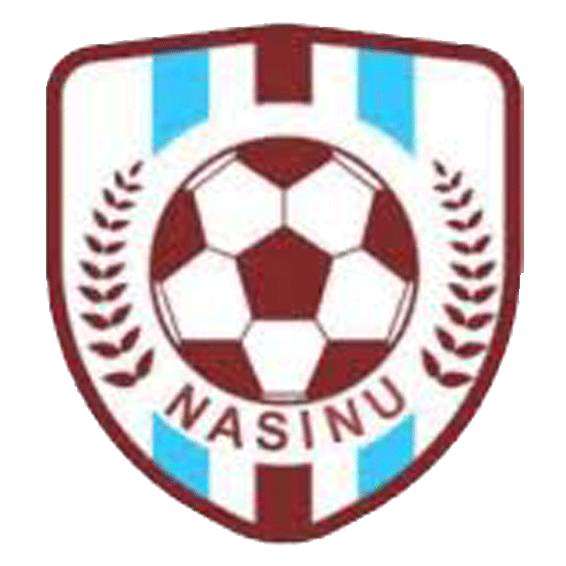 Логотип Nasinu