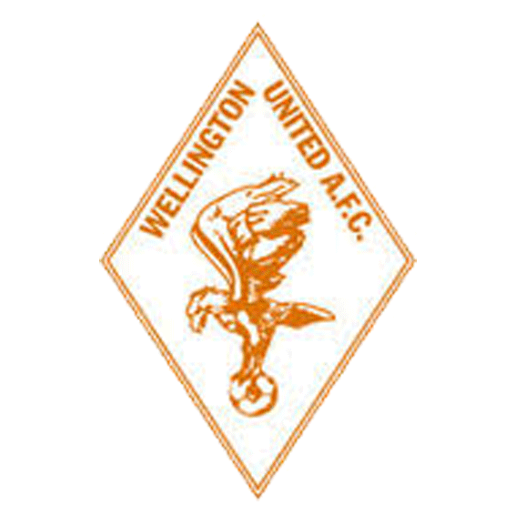 Логотип Wellington United