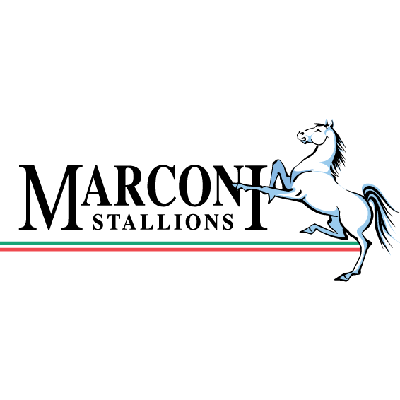 Логотип Маркони Сталлионс
