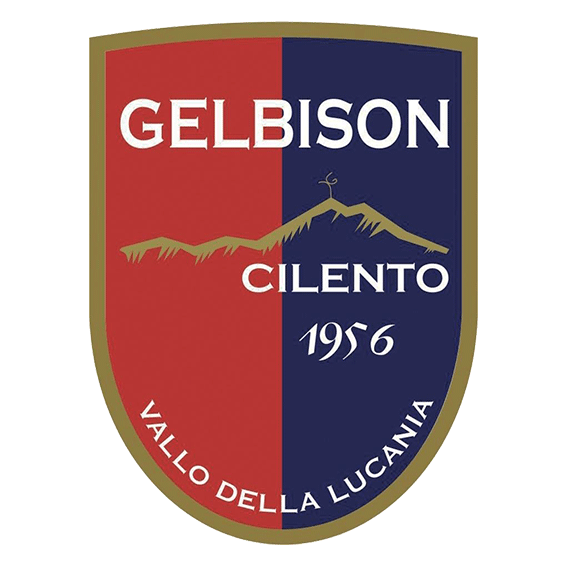 Логотип Gelbison