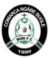 Логотип Buri