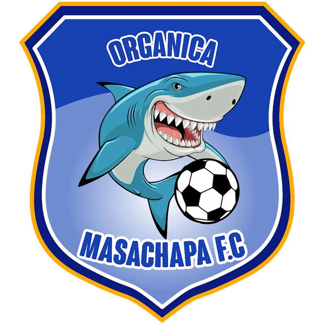 Логотип Orgаnica Masachapa