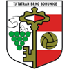 Логотип Татран Вшеховице