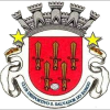 Логотип Sao Salvador