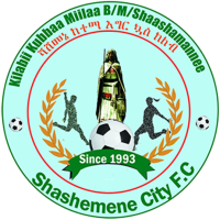 Логотип Shashemene Kenema