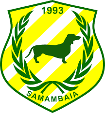 Логотип Самамбайя