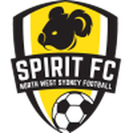 Логотип NWS Spirit